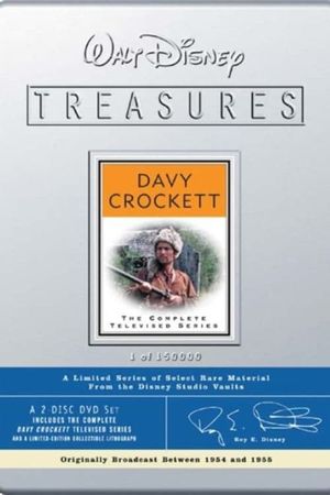 The Crockett Craze's poster