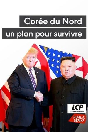 Corée du Nord, un plan pour survivre's poster