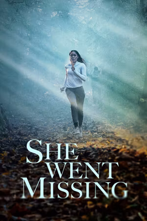 She Went Missing's poster