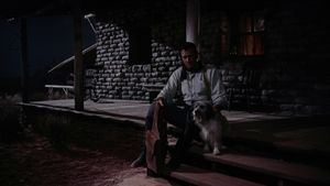 The Searchers's poster