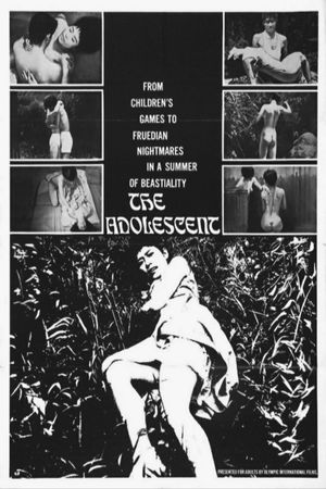 The Adolescent's poster