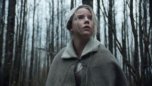 The Witch's poster