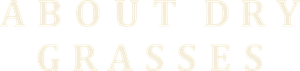 About Dry Grasses's poster