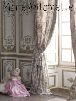 Marie Antoinette's poster