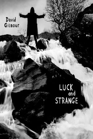 David Gilmour - Luck and Strange Tour Rehearsal's poster