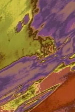 Thallus's poster