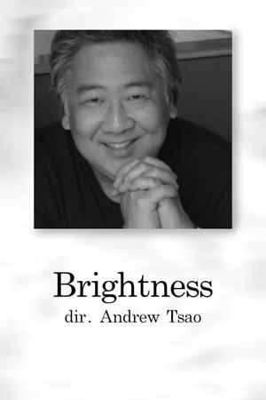 Brightness's poster image