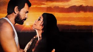 Bir Sevgi Istiyorum's poster