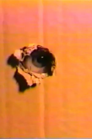Night Sweats's poster