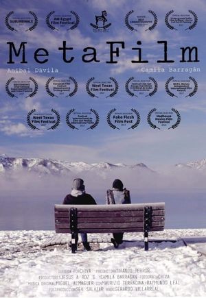 MetaFilm's poster