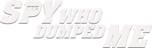 The Spy Who Dumped Me's poster