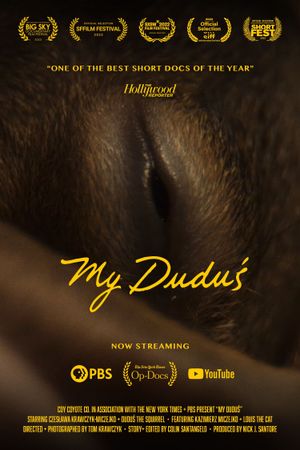 My Duduś's poster