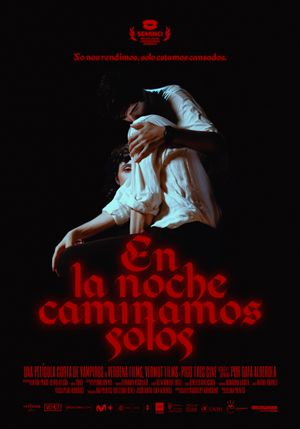 En la noche caminamos solos's poster