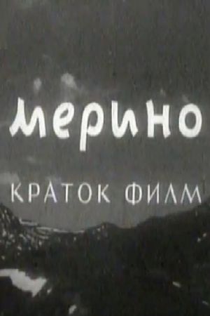 Merino's poster