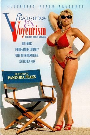 Visions and Voyeurism's poster