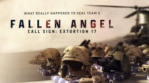 Fallen Angel: Call Sign - Extortion 17's poster