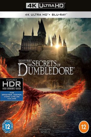 Fantastic Beasts: The Secrets of Dumbledore's poster