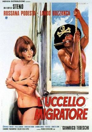 L'uccello migratore's poster