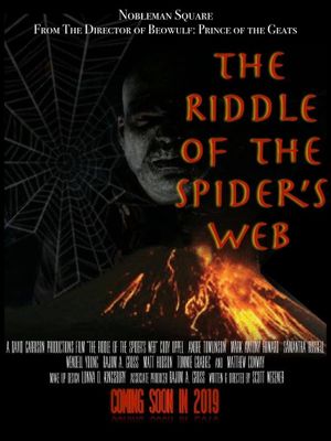 The Riddle of the Spider's Web's poster