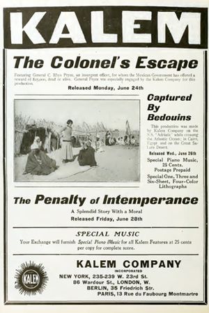 The Penalty of Intemperance's poster