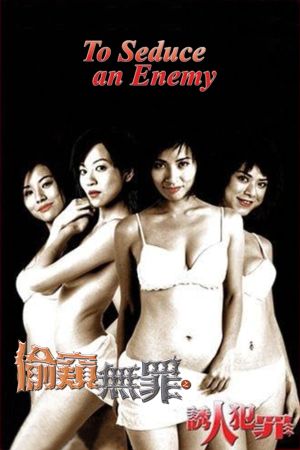 To Seduce an Enemy's poster