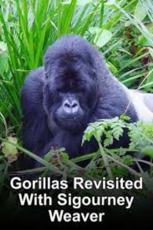 Gorillas Revisited with Sigourney Weaver's poster