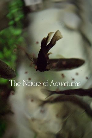 The Nature of Aquariums's poster image