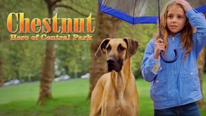 Chestnut: Hero of Central Park's poster