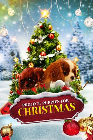 Project: Puppies for Christmas's poster