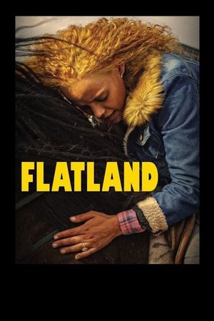 Flatland's poster