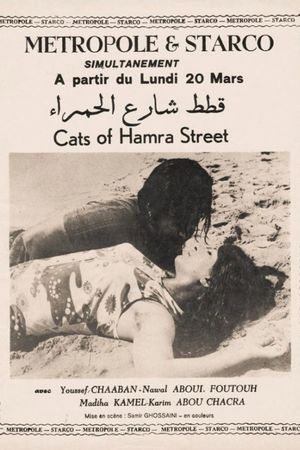 Cats of Hamra Street's poster