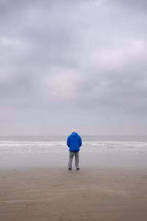Ocean with David Attenborough's poster