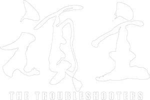 The Troubleshooters's poster