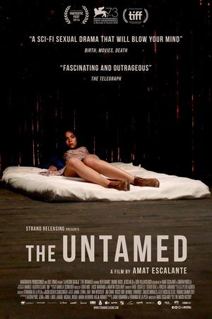 The Untamed's poster