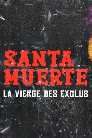 Santa Muerte, la Vierge des exclus's poster image