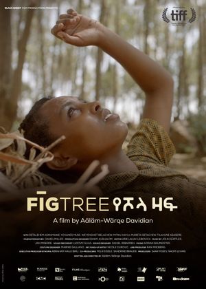 Fig Tree's poster