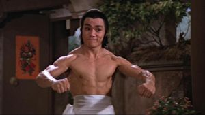 Invincible Shaolin's poster