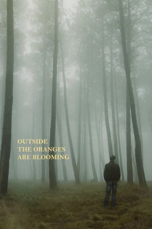 Outside the Oranges Are Blooming's poster image