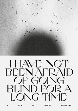 I HAVE NOT BEEN AFRAID OF GOING BLIND FOR A LONG TIME's poster