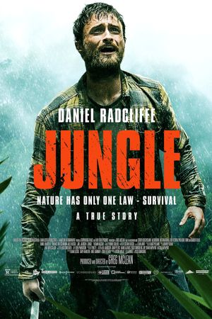 Jungle's poster