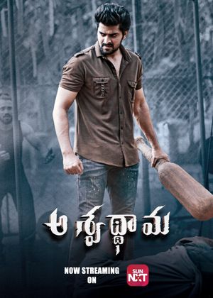 Aswathama's poster