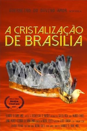 The Crystallization of Brasília's poster