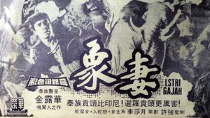Zhi mo nu's poster