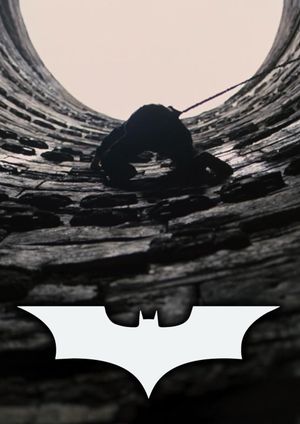 The Dark Knight Rises's poster