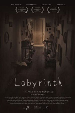 Labyrinth's poster