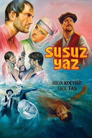 Dry Summer's poster