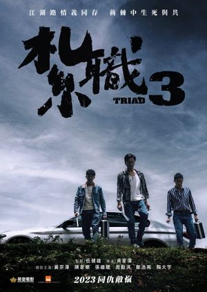 Triad 3's poster