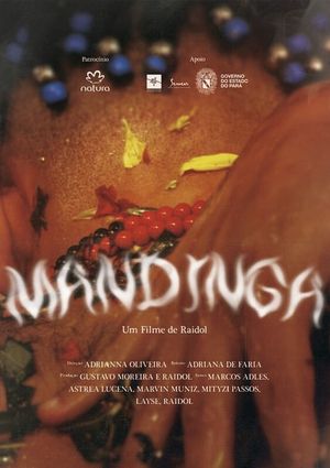 Mandinga's poster