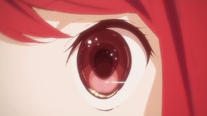 Shelter's poster