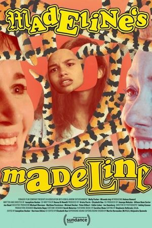 Madeline's Madeline's poster